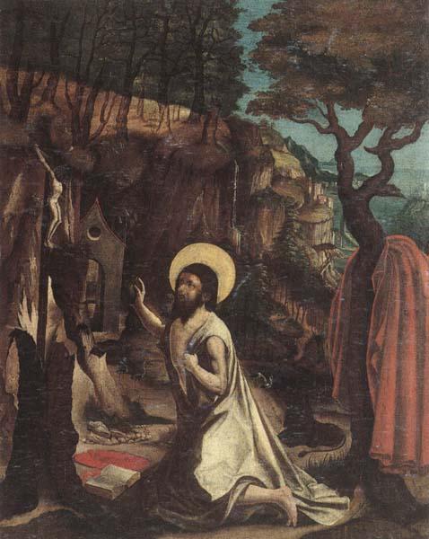 unknow artist Saint jerome in the wilderness